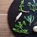 春の七草とは？覚え方や種類、特徴、名前の由来などをご紹介