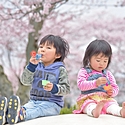 【春分の日とは】2024年は3月20日！由来や過ごし方をご紹介♪