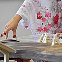 琴とは？箏との違いや魅力、はじめ方をご紹介！