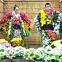 菊人形 ～職人がつくり上げた総合芸術～