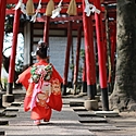 七五三っていつ！？何するの？お参りの時期や年齢をご紹介♪