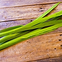 端午の節句（こどもの日）の菖蒲湯とは？効能・作り方・由来をご紹介！