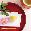 東京の和菓子店～老舗から人気の名店まで～