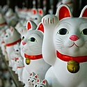 招き猫とは？招き猫が招く福ってどんな福？