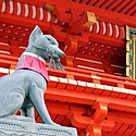 【伏見稲荷大社】見どころは千本鳥居だけじゃない！歴史を辿って魅力を知ろう