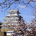 【大包平とは？】横綱に例えられる日本刀の最高傑作！大包平事件についても紹介