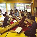  久松彩子 箏/琴 三味線 十七絃教室／東京都、埼玉県、茨城県の琴（箏）教室
