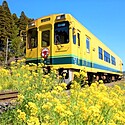 千葉県の伝統的工芸品一覧